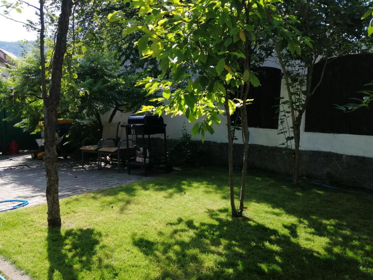 לינה וארוחת בוקר בראשוב Casa Scheiana מראה חיצוני תמונה