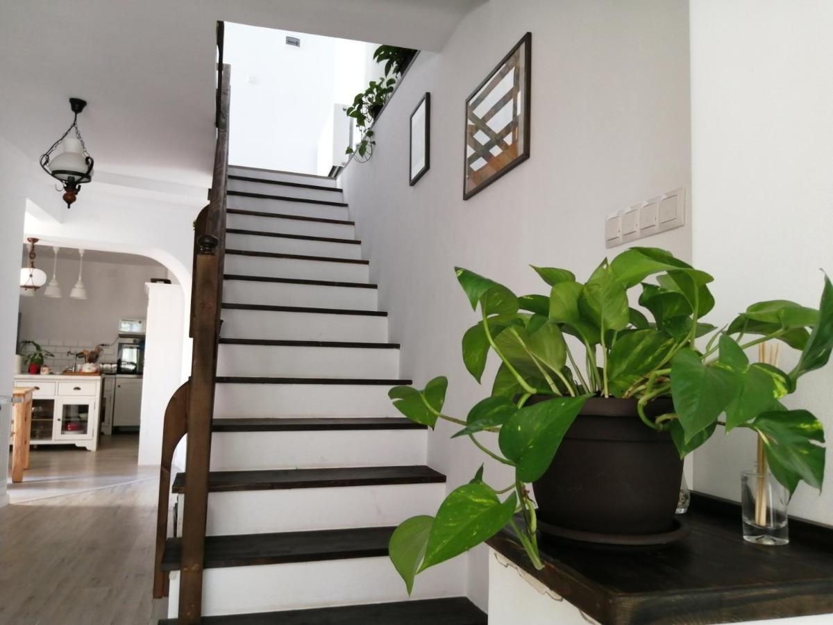 לינה וארוחת בוקר בראשוב Casa Scheiana מראה חיצוני תמונה