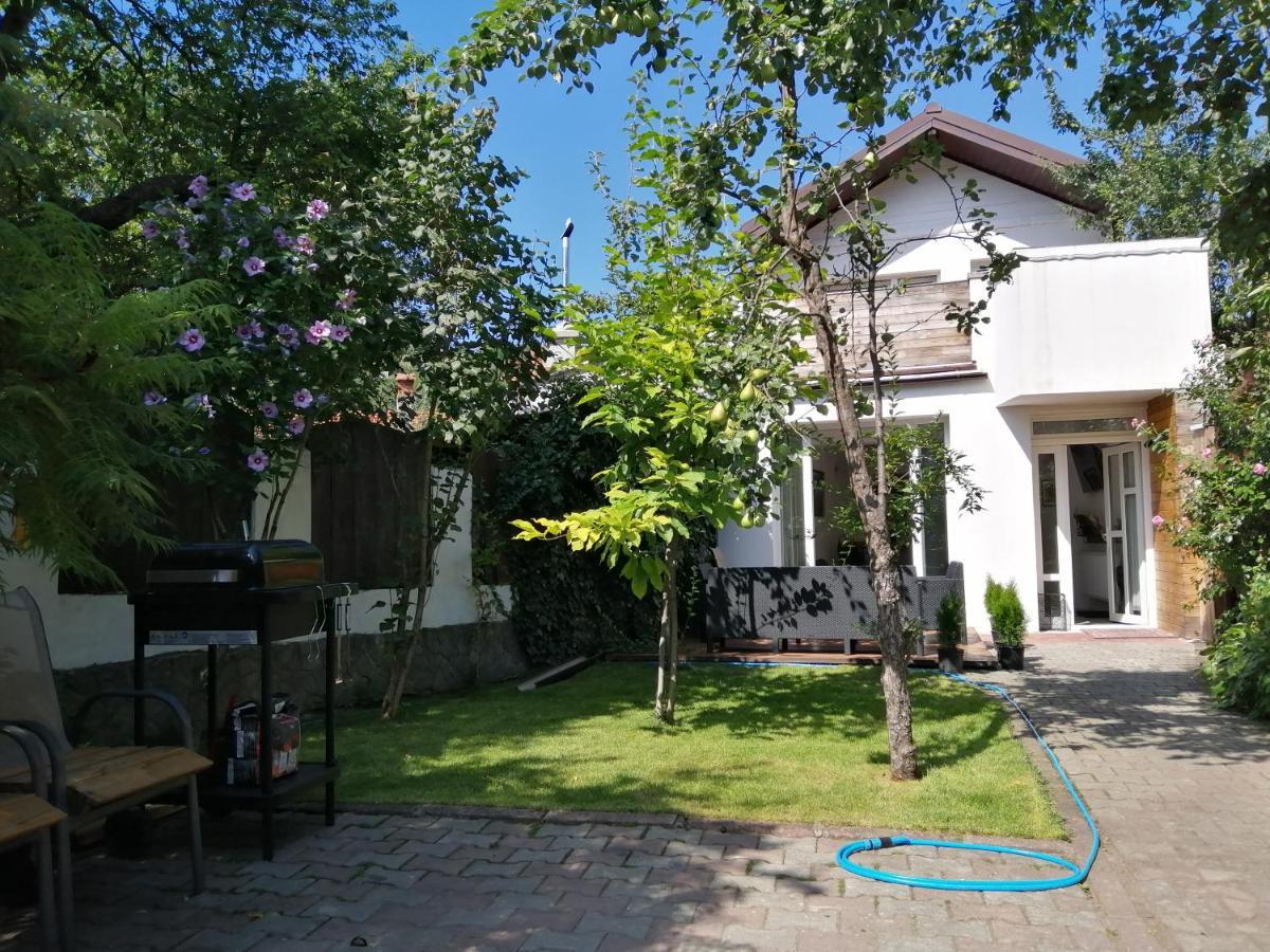 לינה וארוחת בוקר בראשוב Casa Scheiana מראה חיצוני תמונה